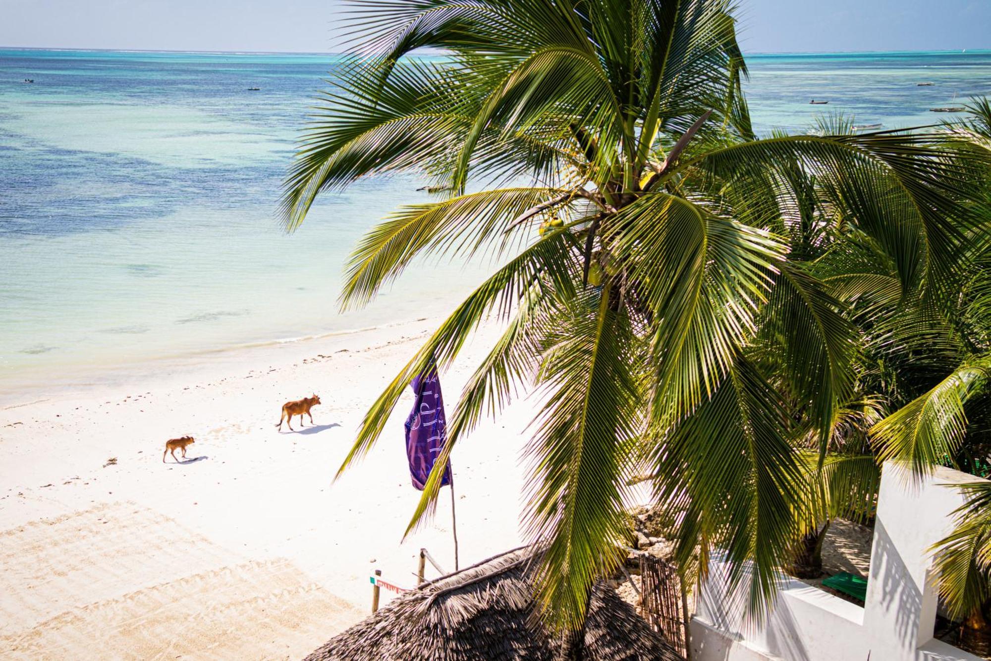 Hotel Sunrise Jambiani  Exterior foto